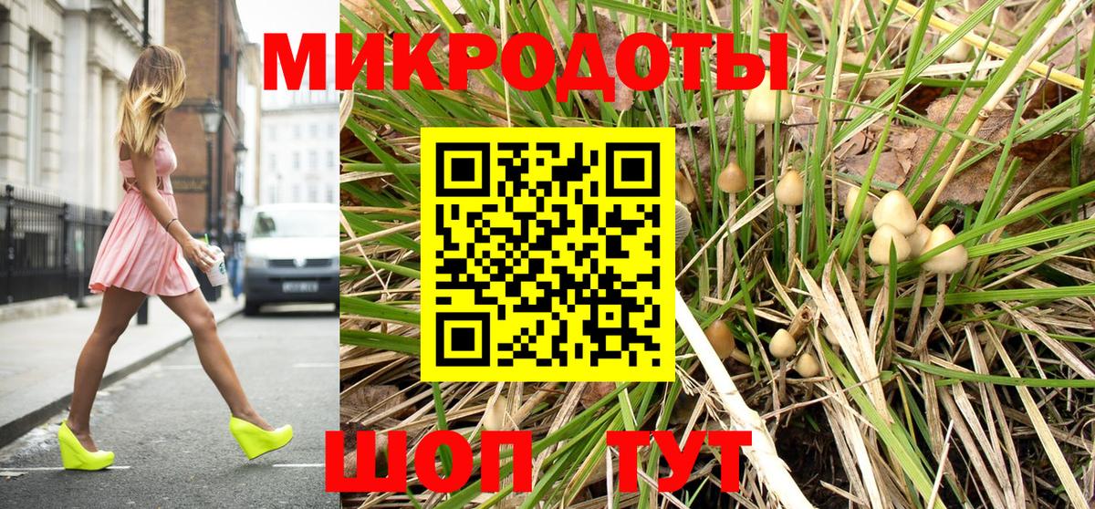 Галлюциногенные грибы Psilocybine cubensis Можга